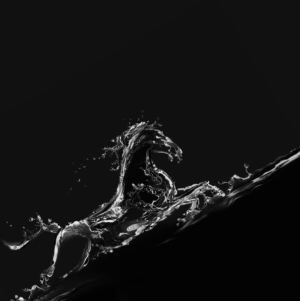 Caballo de agua negra galopando hacia arriba
 - Foto, Imagen