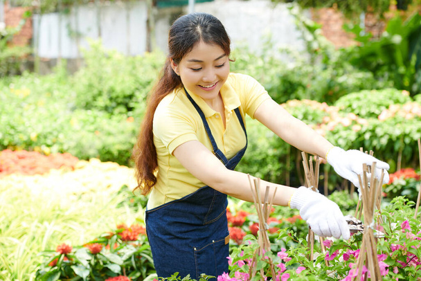 Young Woman Cutting Flowers - Photo, Image