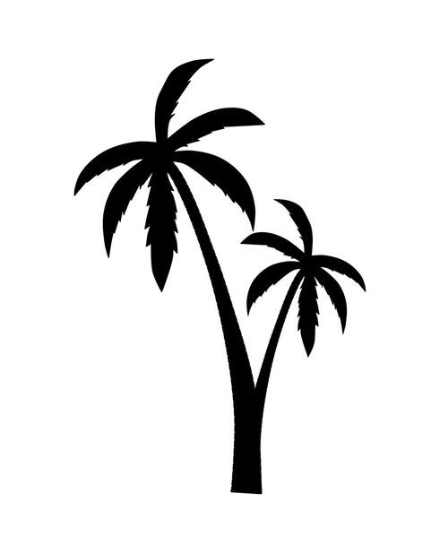 palma - Vector, imagen