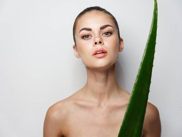 grüne Aloe Blatt schöne Frau saubere Haut Kosmetologie Jugend Schönheit - Foto, Bild