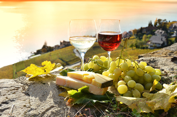 Şarap ve üzüm. - Fotoğraf, Görsel