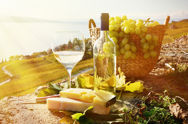 вино, виноград
 - Фото, зображення