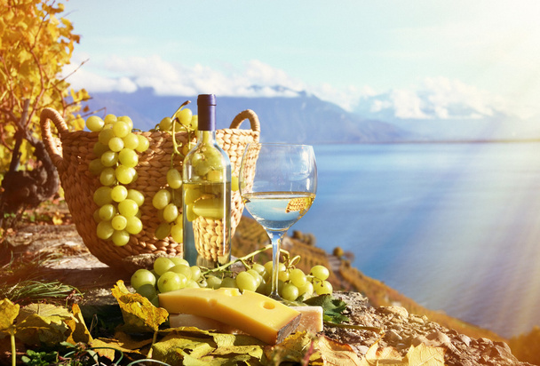 Wine and grapes - Photo, Image