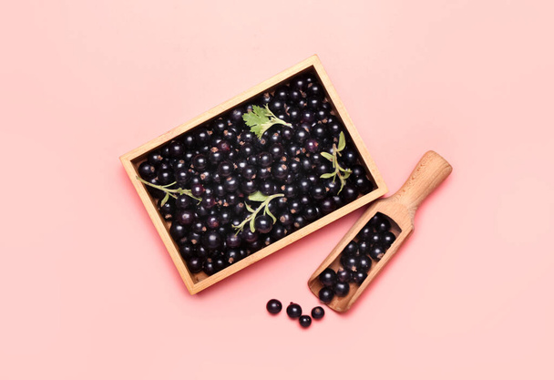 Wooden box with scoop with black currant on color background - Photo, Image