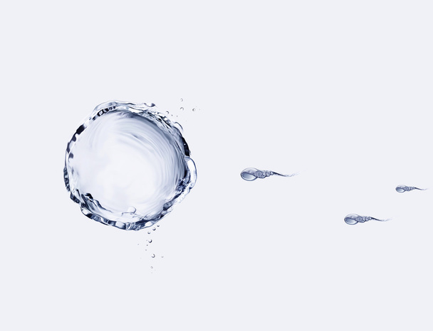 Water Egg and Sperm - Fotoğraf, Görsel