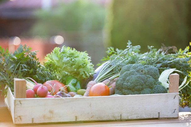 Fresh bio vegetable in a wooden box. The concept of healthy food.  - Фото, зображення
