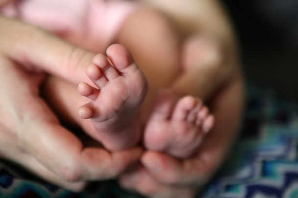 Детские лапки в маминых ладонях
 - Фото, изображение