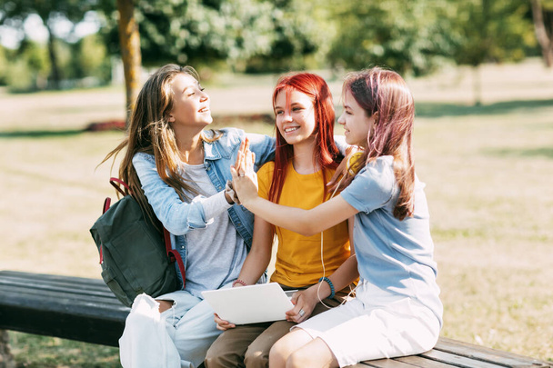 Μια ομάδα έφηβων κοριτσιών που κάθονται και κολλάνε με ένα λάπτοπ στο πάρκο. Συνάντηση για ένα εκπαιδευτικό πρόγραμμα. Φιλία, εκπαίδευση, κατάρτιση - Φωτογραφία, εικόνα