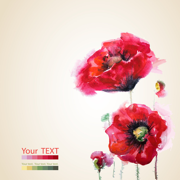 Red poppies, greeting-card - Vector, Image
