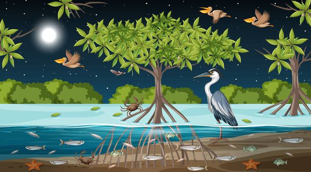 Mangrovie foresta paesaggio scena di notte illustrazione - Vettoriali, immagini