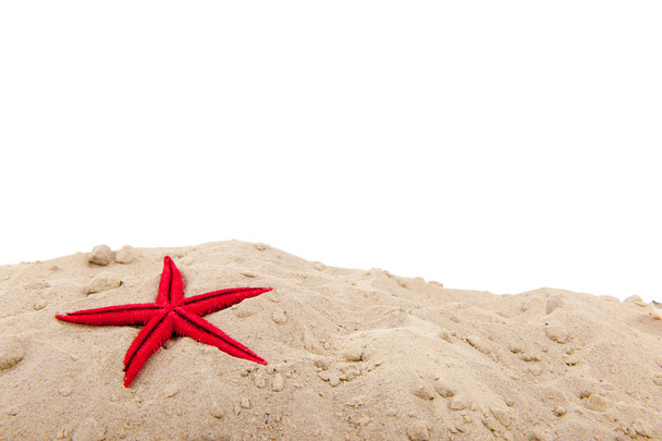 Beach with starfish - Фото, изображение