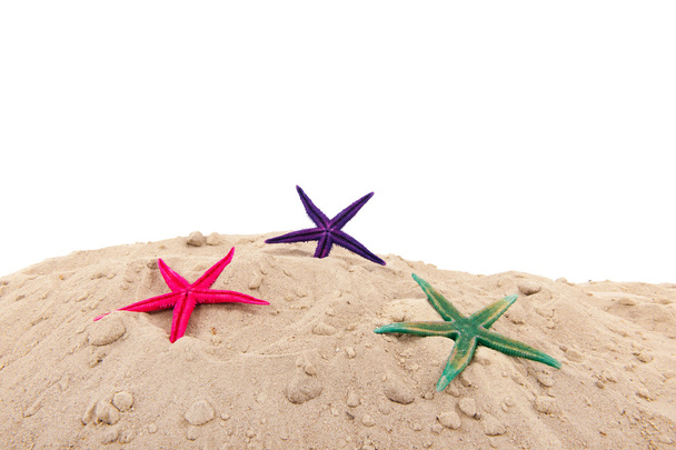 Starfishes at the beach - Фото, изображение