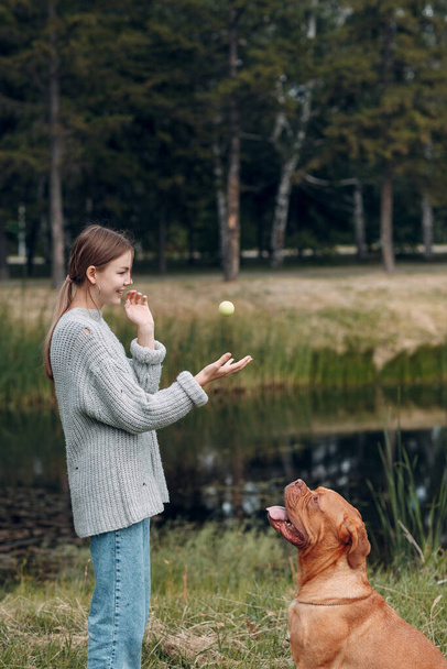 Dogue de Bordeaux o French Mastiff con giovane donna che gioca con la palla al parco all'aperto - Foto, immagini