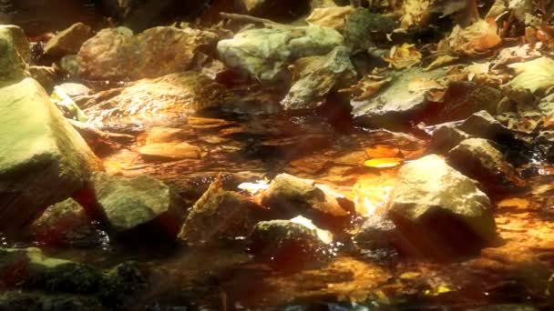 upiększyć naturalny strumień - Materiał filmowy, wideo