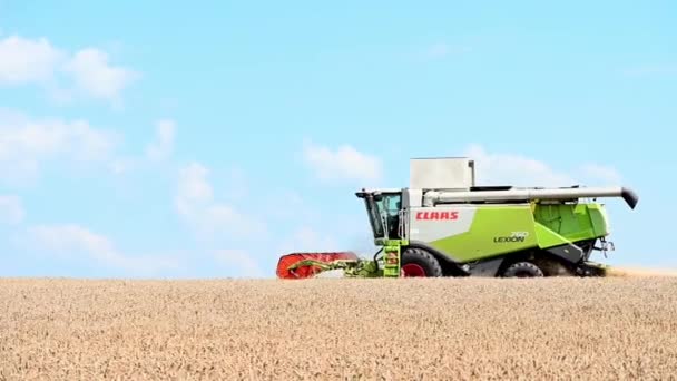 Ukraine, Kirovohrad region. July 25, 2021 Combine harvester gathers the wheat crop. Wheat harvesting shears. Combines in the field. Food industry concept. - Footage, Video