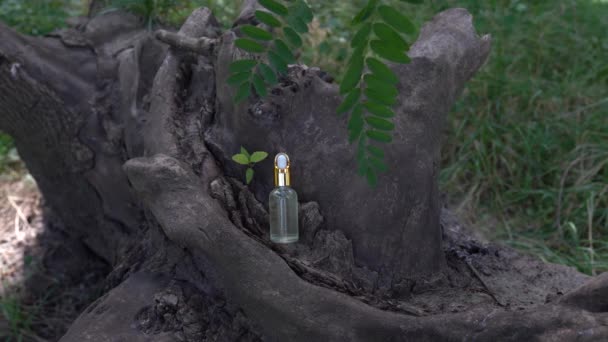 Стеклянная косметическая бутылка с гиалуроновой кислотой на дереве. Увлажняющий крем или жидкость. Увлажняющая сыворотка, витамин для кожи лица. концепция натуральной косметики, натуральное эфирное масло - Кадры, видео