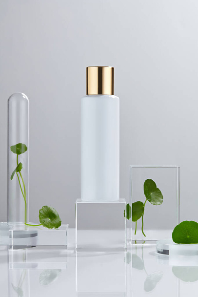 Laboratory experiment and research with centella asiatica (gotu kola), oil and ingredient extract for natural beauty and organic cosmetic skincare product. The blank bottle for label science concept. - Photo, Image