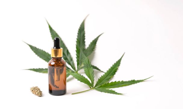 Cannabisolie extracten in potten en groene cannabisbladeren, marihuana geïsoleerd op witte achtergrond. Medische en kruidenmarihuana kweken. - Foto, afbeelding