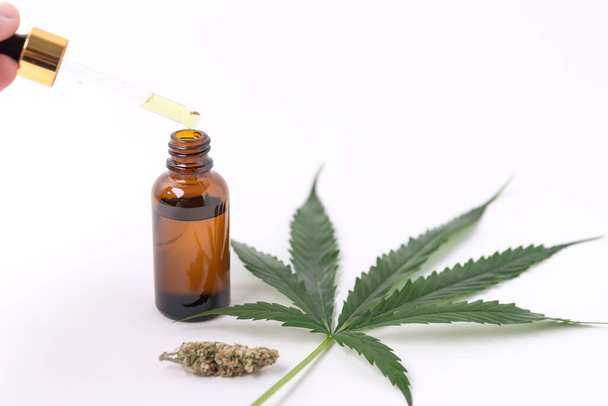 Cannabisolie extracten in potten en groene cannabisbladeren, marihuana geïsoleerd op witte achtergrond. Medische en kruidenmarihuana kweken. - Foto, afbeelding