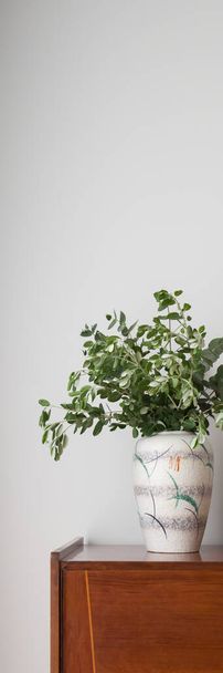 Vertical panorama of stylish vase with green eucalyptus plants on vintage, wooden sideboard - Foto, immagini