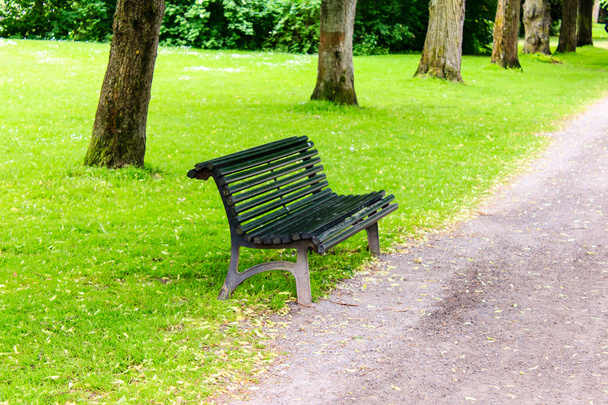 stylowe ławki w parku lato  - Zdjęcie, obraz