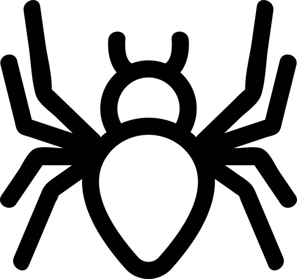 contour insect spider icon - Vector, Image