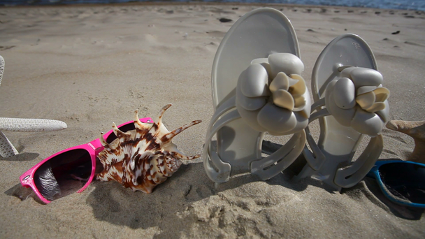 Coloridas gafas de sol, conchas marinas y estrellas de mar en la playa de arena
 - Metraje, vídeo
