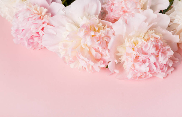 ピンクの背景にピンク色の牡丹の花の組成物。頭上の上からの眺め、平らなレイアウト。スペースのコピー. - 写真・画像