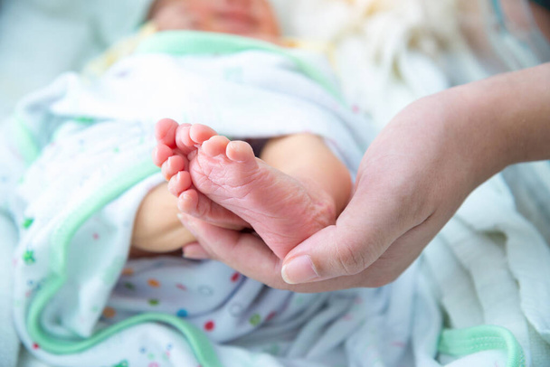 Pies de bebé en manos de la madre, Mamá y su hijo, Concepto de familia feliz, Hermosa imagen conceptual de la maternidad. - Foto, imagen