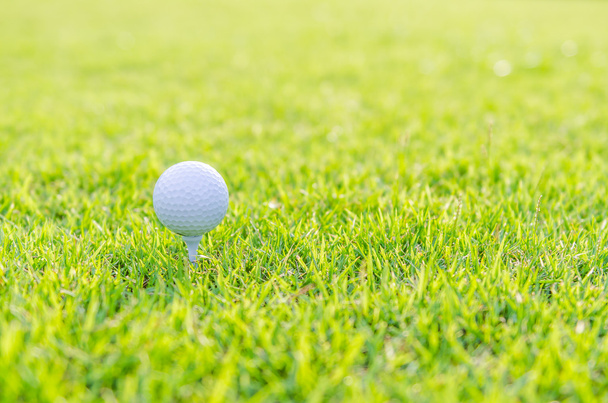 緑の芝生の上のゴルフボール - 写真・画像