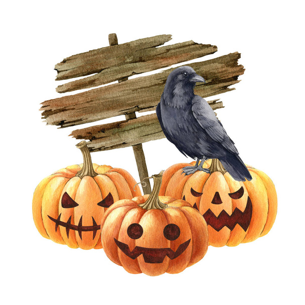 Pumpkin and black raven halloween illustration. Blackcrow bird, pumpkins, wooden banner image. Halloween object decoration. Pumpkin decor element. Spooky funny autumn decor. White background - Photo, Image