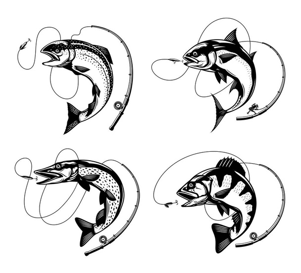 Wektorowe ilustracje wędkarskie ze skaczącymi rybami, wędką, liną i hakiem. Ilustracje dotyczące łososia, tuńczyka, szczupaka i okonia - Wektor, obraz