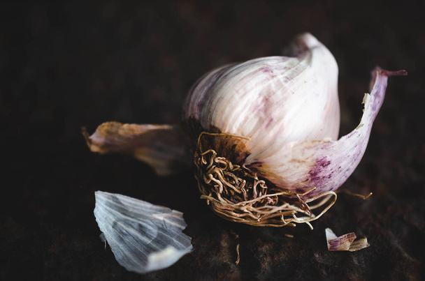 Garlic bulb on a dark backdrop.  - Foto, imagen