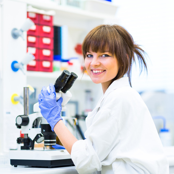 Female researcher carrying out research - Foto, Imagem