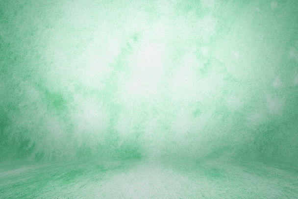 photo backdrop green, studio background for photos. Studio Portrait Backdrops Photo wall and floor lit by lamps - Valokuva, kuva
