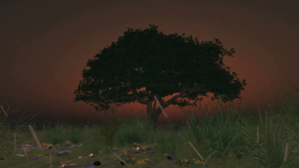 wschód słońca w łące i drzewo - Materiał filmowy, wideo