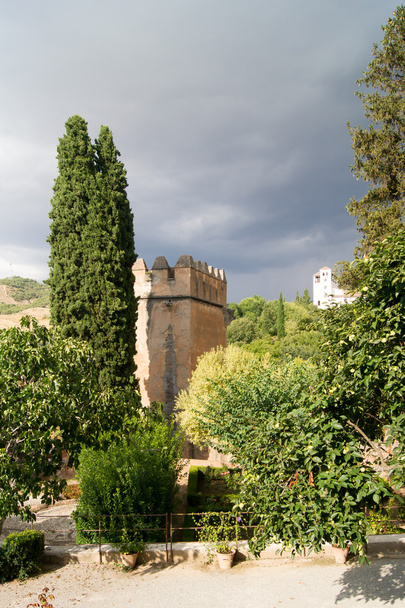 soorten alhambra - Foto, afbeelding
