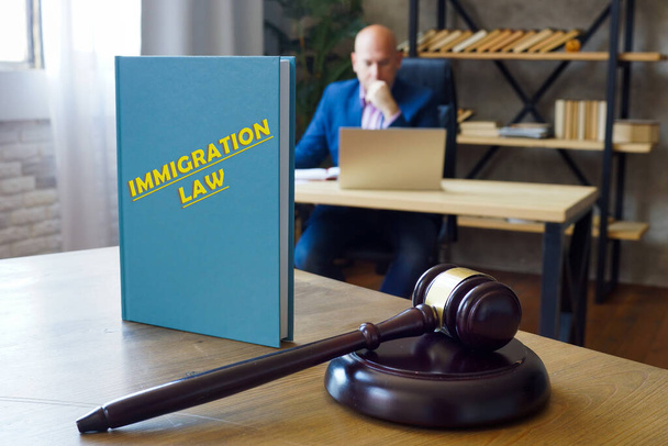  IMMIGRATION LAW inscription on the sheet. Immigration law refers to the national statutes, regulations, and legal precedents governing immigration into a countr - Zdjęcie, obraz