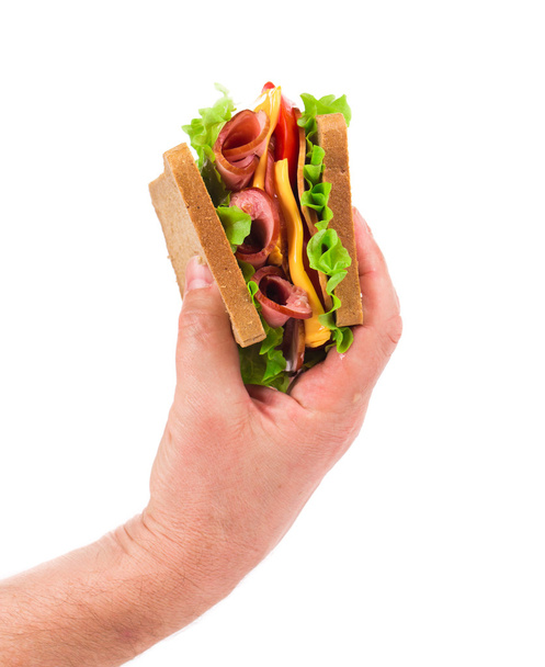 Sandwich in hand  - Фото, зображення