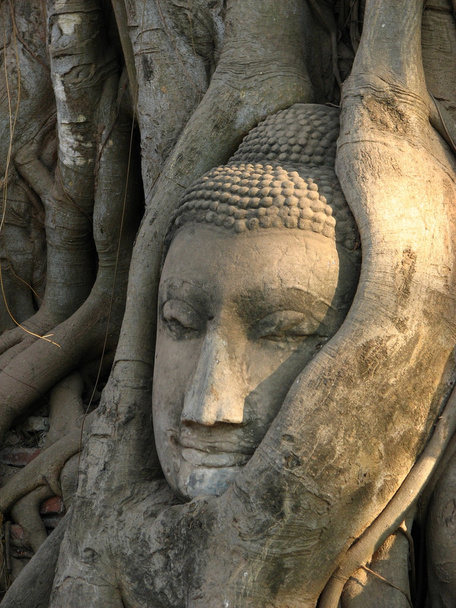 Muinainen Thaimaan Buddha Head
 - Valokuva, kuva