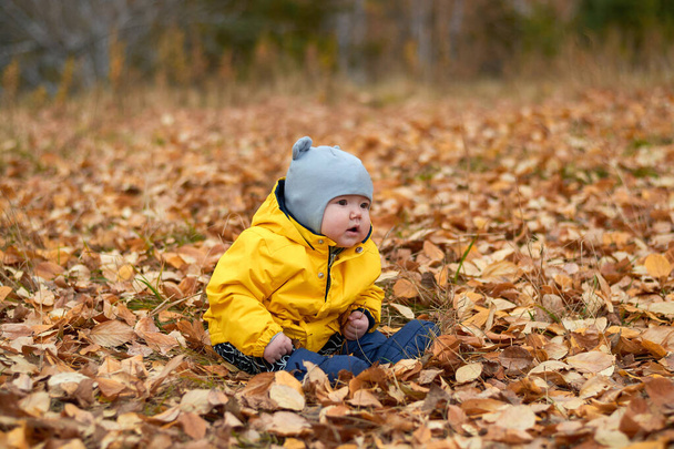 baby in yellow foliage in autumn park - Zdjęcie, obraz