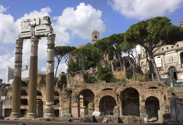 Famoso antigo Fórum Romano, Roma, Itália
 - Foto, Imagem
