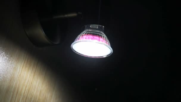 insetti volano sopra la luce lite
 - Filmati, video