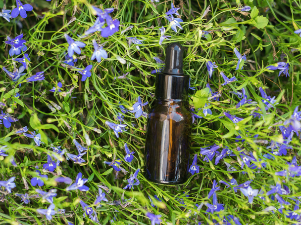 Butelka ze szklanym kroplomierzem na tle małych niebieskich kwiatów. Koncepcja medycyny ze składników naturalnych. - Zdjęcie, obraz