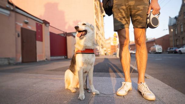 Man with dog on city street - Fotografie, Obrázek