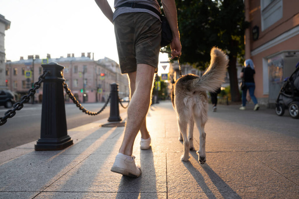 The dog walks next to the owner. Owner with dog walks forward. On the street. - Fotografie, Obrázek