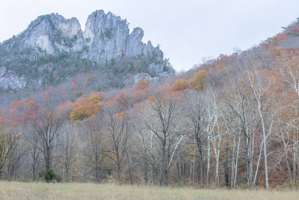 The Seneca Rocks in West Virginia on a chilly November day with autumnal colors lingering in the trees - Photo, image