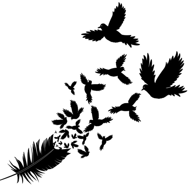 Перо векторного наброска птицы
 - Вектор,изображение