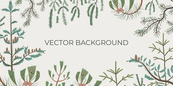 Vector  botanic background with coniferous trees. Good natural template for tourist, eco, spa, winter holidays advertisment. - Vector, afbeelding