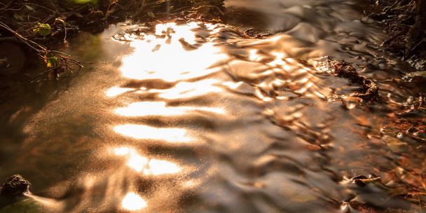 Χρυσή Forrest Creek - Φωτογραφία, εικόνα